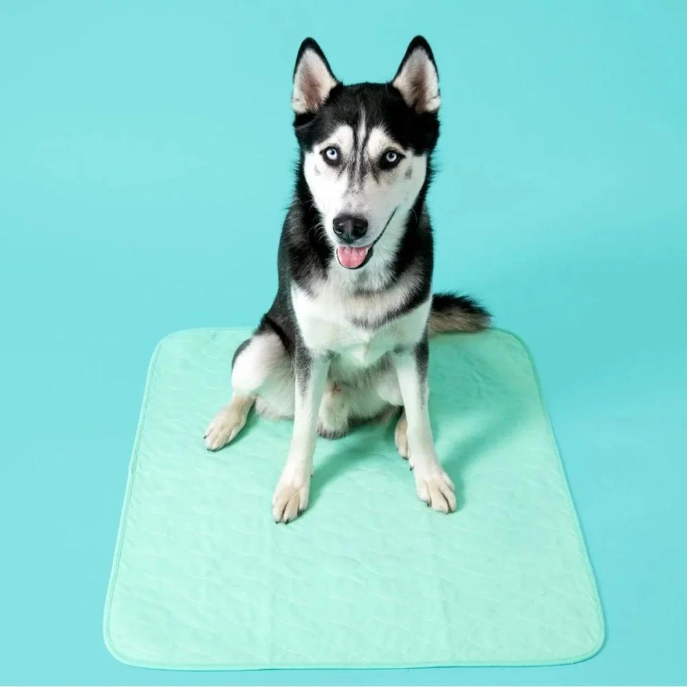Reusable quick dry dog pad